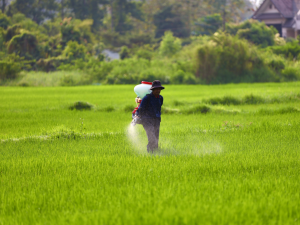 Bayer Rejects Monsanto Spinoff