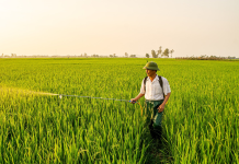 Corteva Agrees to $85 Million Settlement in Farmer Pesticide Price-Fixing Lawsuit