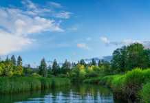 Google Vows to Replenish More Water Than Data Centers Consume by 2030
