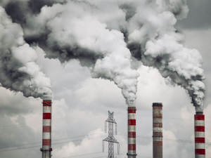 Google, Anthropic Back Climate Coalition